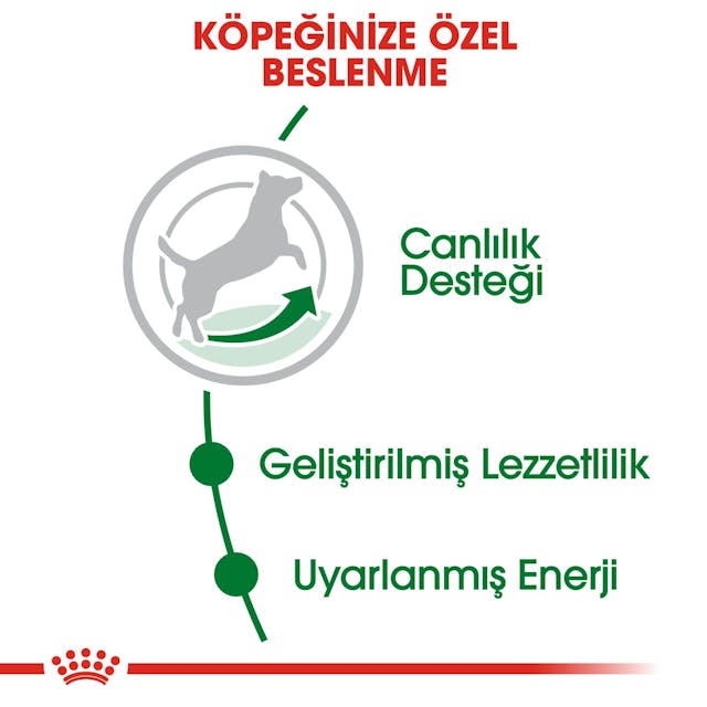 Royal Canin Mini Adult 8+ Küçük Irk Yaşlı Köpek Maması 2 Kg Royal Canin Mini Adult 8+ Küçük Irk Yaşlı Köpek Maması 2 Kg