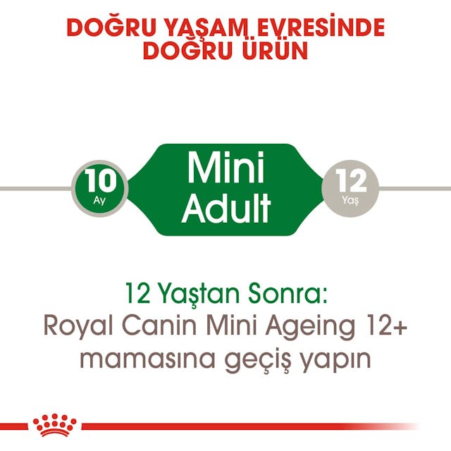 Royal Canin Mini Adult Küçük Irk Yetişkin Yaş Köpek Maması 85 Gr Royal Canin Mini Adult Küçük Irk Yetişkin Yaş Köpek Maması 85 Gr