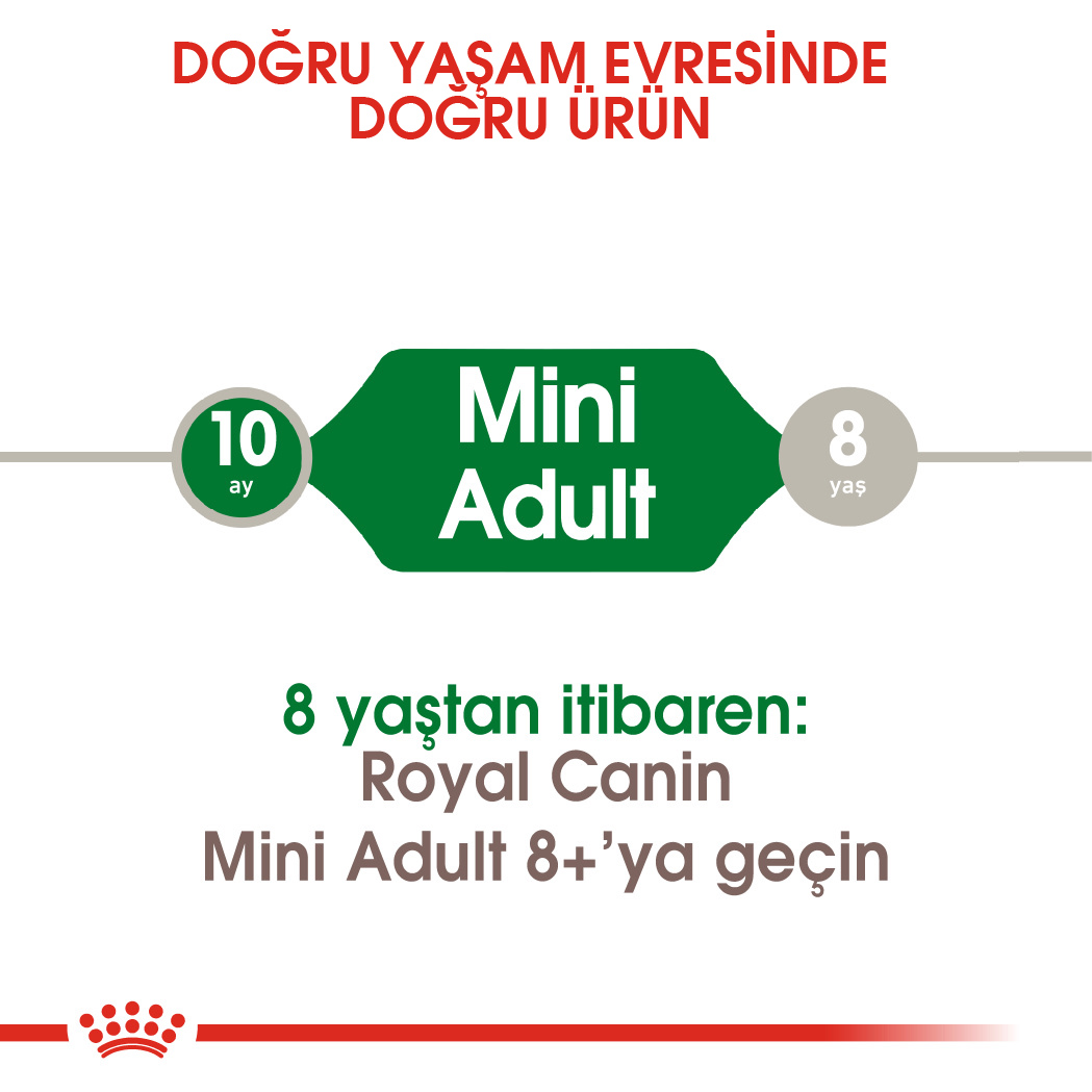 Royal Canin Mini Adult Küçük Irk Yetişkin Köpek Maması 8 Kg Royal Canin Mini Adult Küçük Irk Yetişkin Köpek Maması 8 Kg