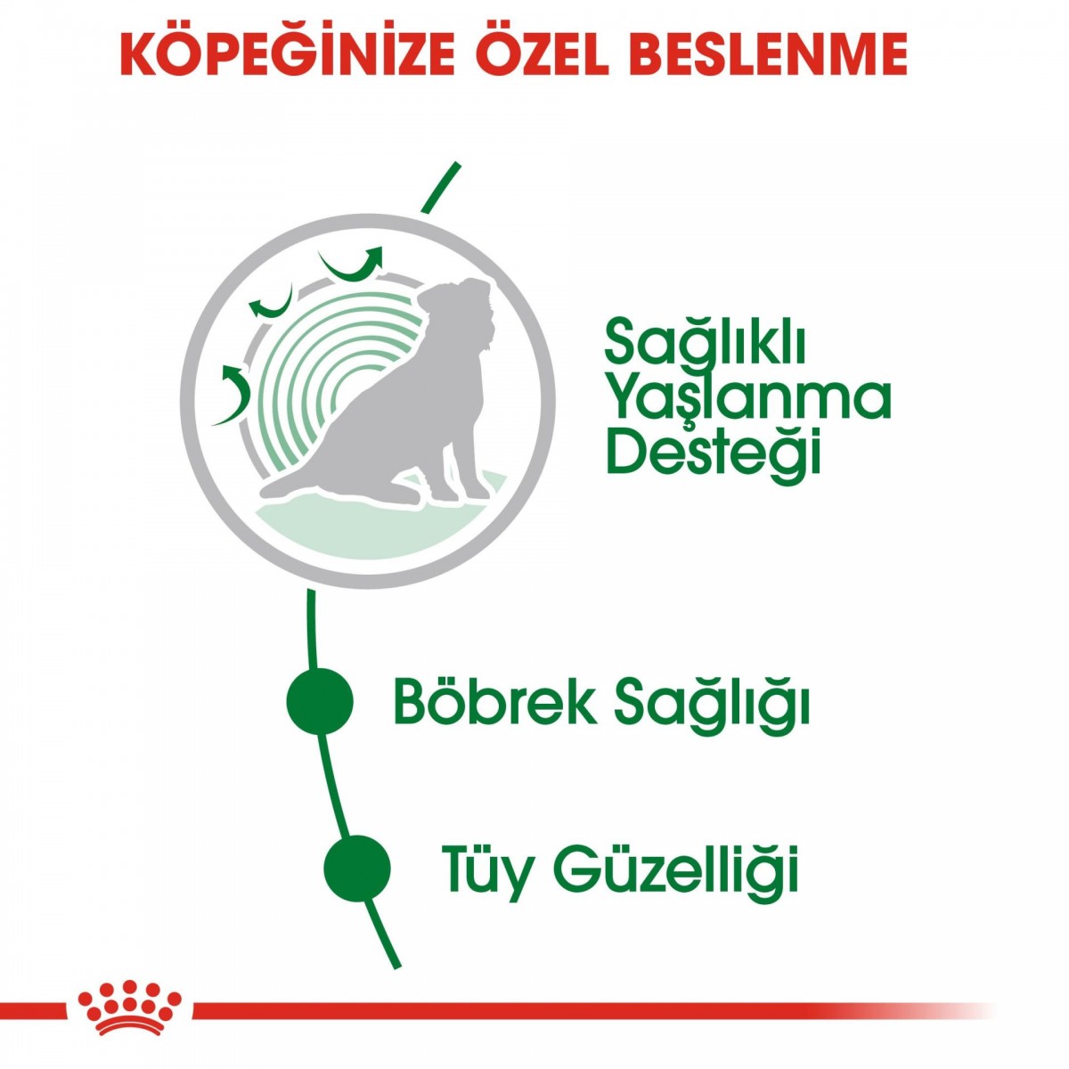 Royal Canin Mini Ageing 12+ Gravy Pouch Yaşlı Köpek Konserve Yaş Mama 85 Gr