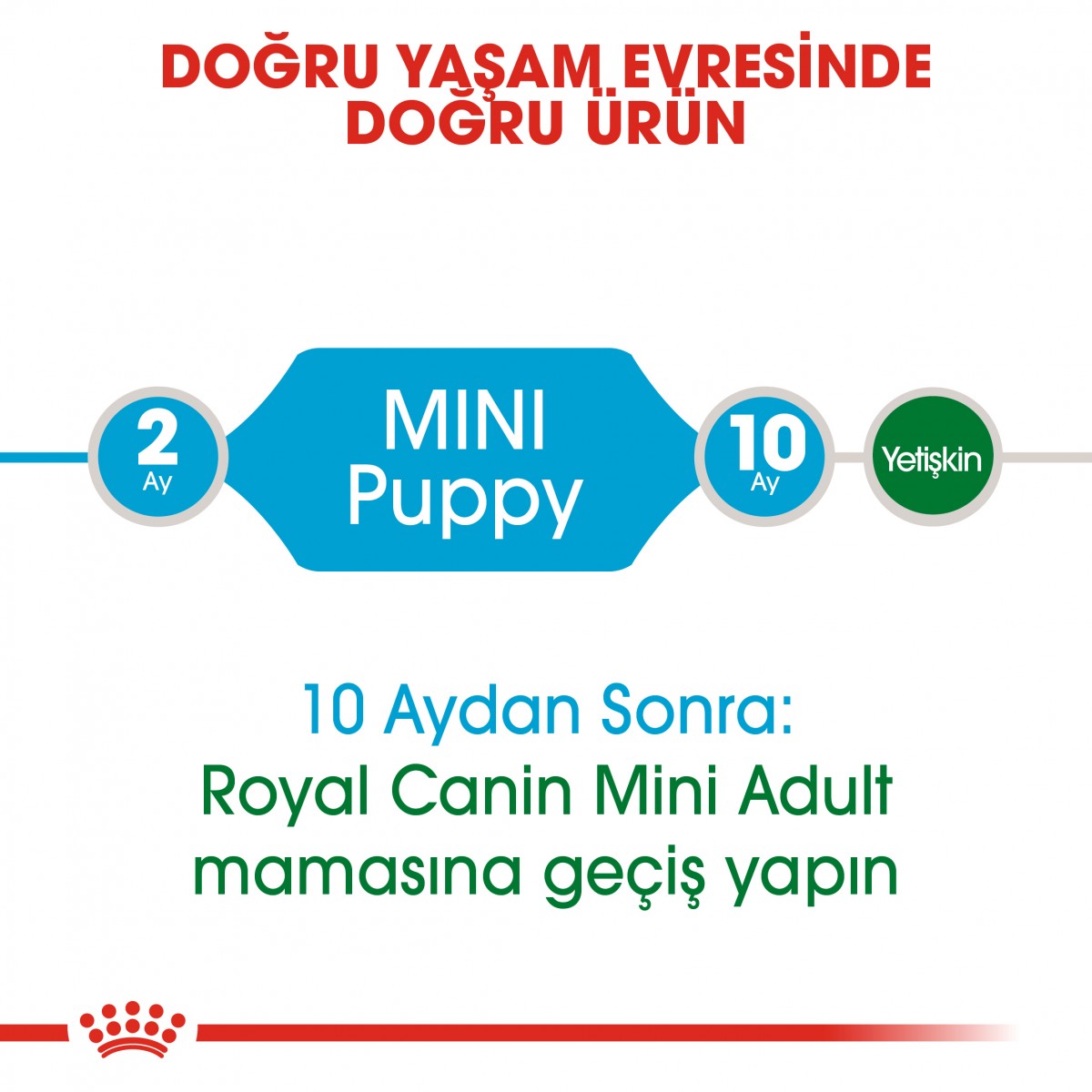 Royal Canin Mini Puppy Küçük Irk Yavru Köpek Maması 2 Kg Royal Canin Mini Puppy Küçük Irk Yavru Köpek Maması 2 Kg