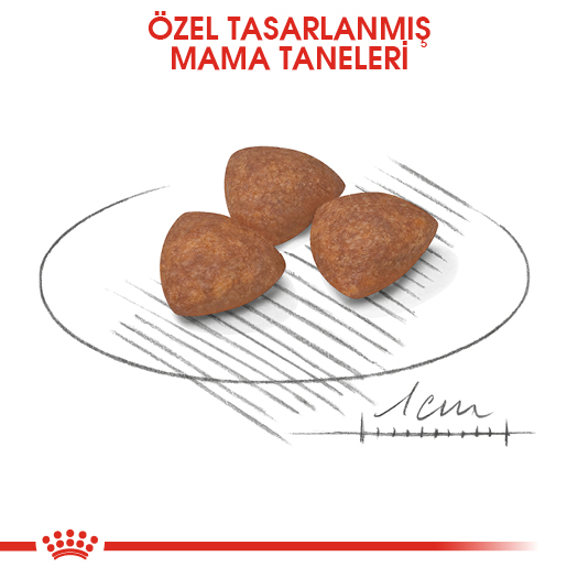 Royal Canin Mini Puppy Küçük Irk Yavru Köpek Maması 2 Kg Royal Canin Mini Puppy Küçük Irk Yavru Köpek Maması 2 Kg