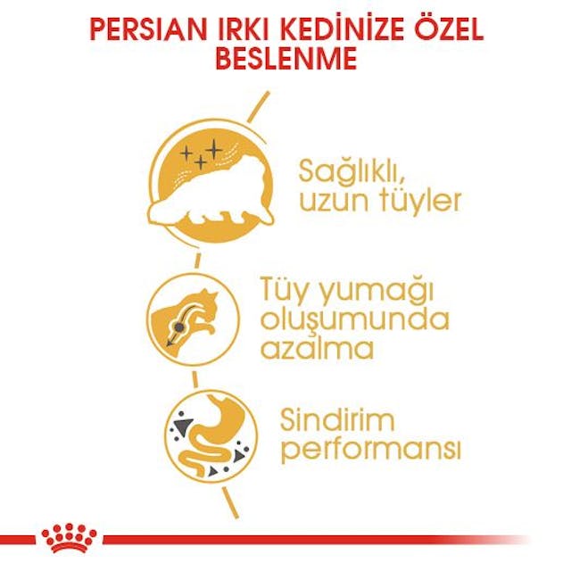 Royal Canin Persian Adult Yetişkin İran Kedi Maması 10 Kg Royal Canin Persian Adult Yetişkin İran Kedi Maması 10 Kg