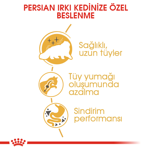Royal Canin Persian Adult Yetişkin İran Kedi Maması 2 Kg Royal Canin Persian Adult Yetişkin İran Kedi Maması 2 Kg
