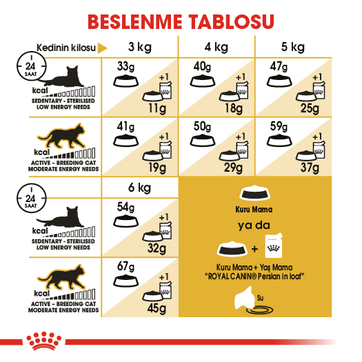 Royal Canin Persian Adult Yetişkin İran Kedi Maması 2 Kg Royal Canin Persian Adult Yetişkin İran Kedi Maması 2 Kg