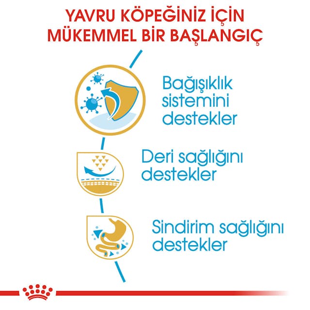 Royal Canin Pug Puppy Yavru Köpek Maması 1,5 Kg Royal Canin Pug Puppy Yavru Köpek Maması 1,5 Kg