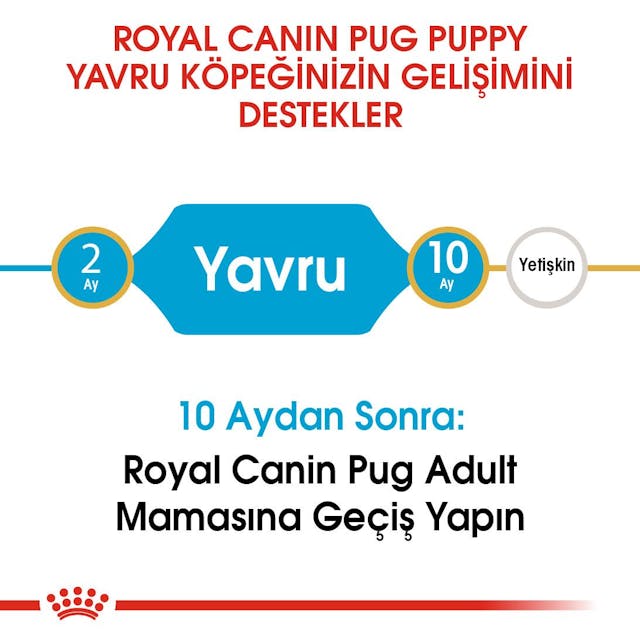 Royal Canin Pug Puppy Yavru Köpek Maması 1,5 Kg Royal Canin Pug Puppy Yavru Köpek Maması 1,5 Kg