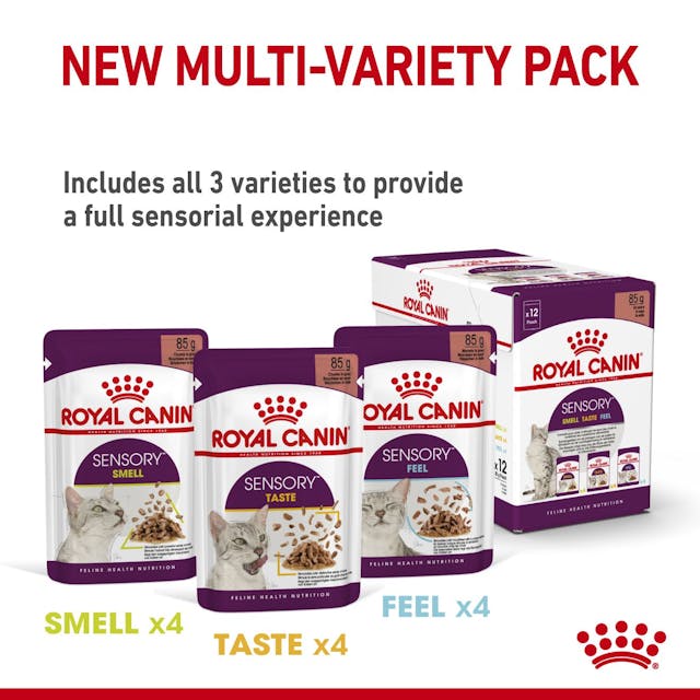 Royal Canin Sensory Smell Pouch Kedi Konserve Yaş Maması 85 Gr Royal Canin Sensory Smell Pouch Kedi Konserve Yaş Maması 85 Gr