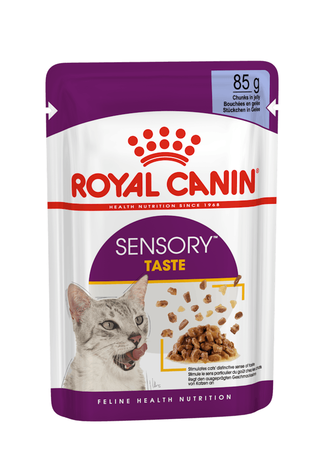 Royal Canin Sensory Taste Gravy Pouch Kedi Konserve Yaş Maması 85 Gr Royal Canin Sensory Taste Gravy Pouch Kedi Konserve Yaş Maması 85 Gr