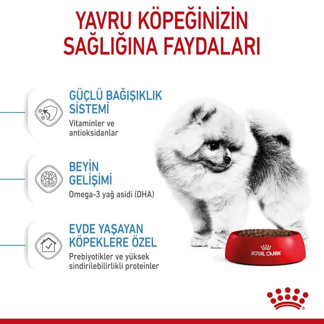 Royal Canin Mini Indoor Puppy Küçük Irk Yavru Köpek Maması 1,5 Kg Royal Canin Mini Indoor Puppy Küçük Irk Yavru Köpek Maması 1,5 Kg