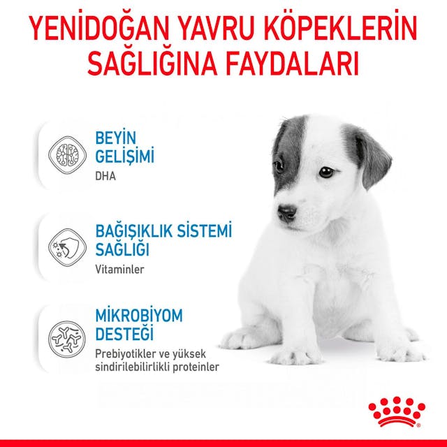 Royal Canin Babydog Milk Yavru Köpek Süt Tozu 400 Gr Royal Canin Babydog Milk Yavru Köpek Süt Tozu 400 Gr