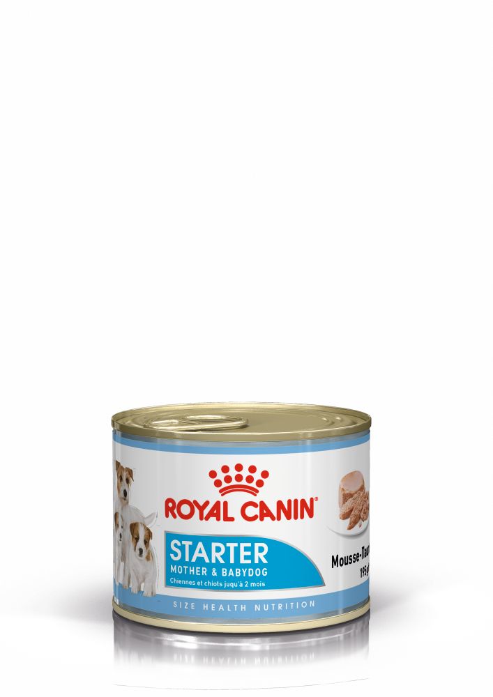 Royal Canin Starter Mousse Anne ve Yavru Köpek Konserve Maması 195 Gr