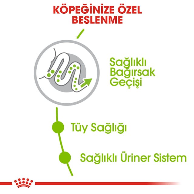Royal Canin X-Small Adult Küçük Irk Yetişkin Köpek Maması 3 Kg Royal Canin X-Small Adult Küçük Irk Yetişkin Köpek Maması 3 Kg