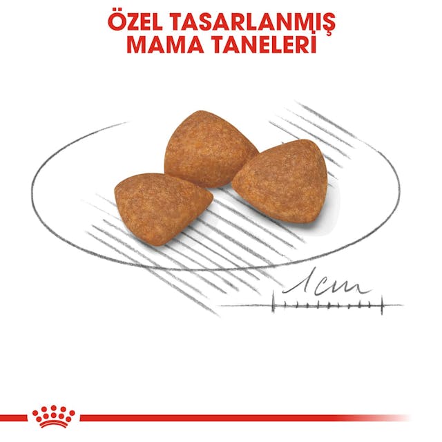 Royal Canin X-Small Adult Küçük Irk Yetişkin Köpek Maması 1,5 Kg Royal Canin X-Small Adult Küçük Irk Yetişkin Köpek Maması 1,5 Kg