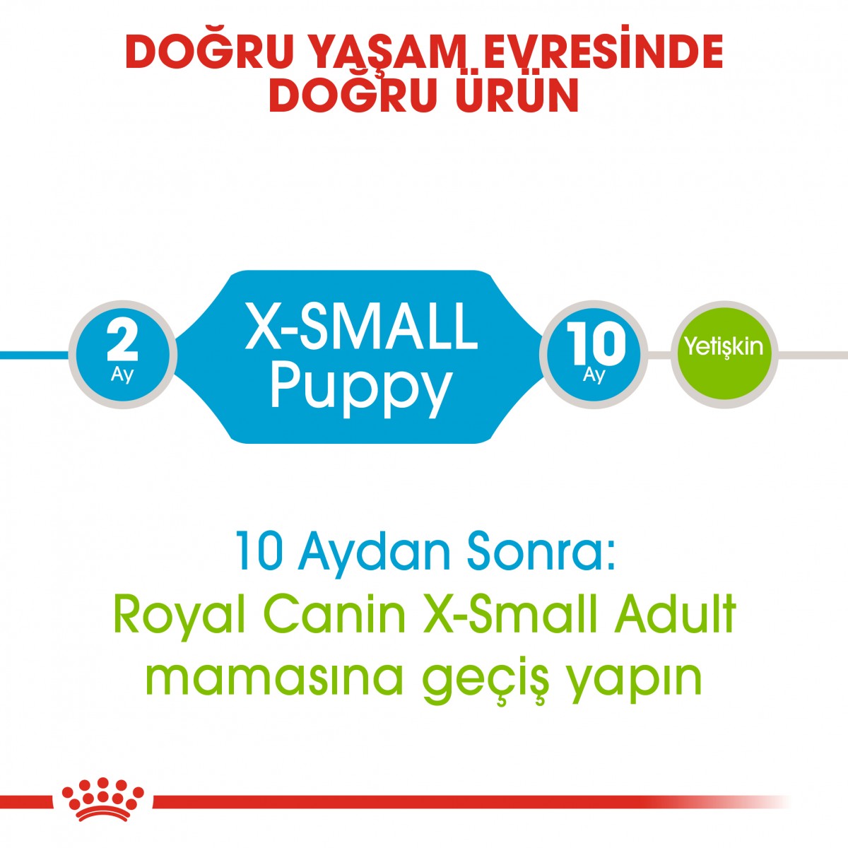 Royal Canin X-Small Puppy Küçük Irk Yavru Köpek Maması 3 Kg