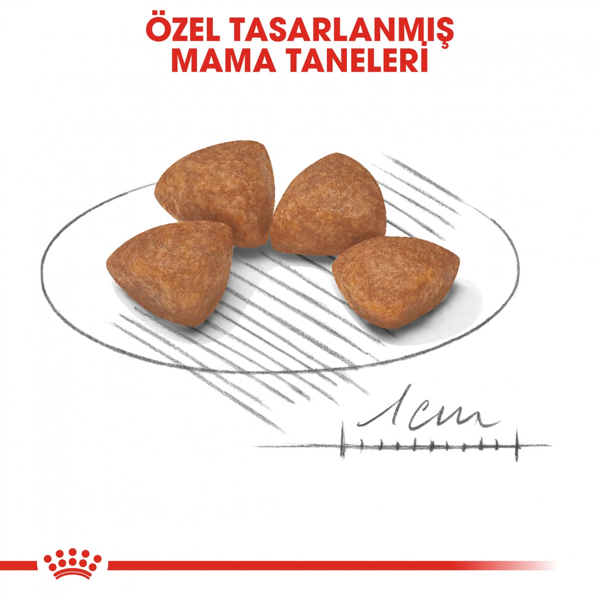 Royal Canin X-Small Puppy Küçük Irk Yavru Köpek Maması 3 Kg Royal Canin X-Small Puppy Küçük Irk Yavru Köpek Maması 3 Kg