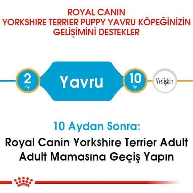 Royal Canin Yorkshire Terrier Puppy Yavru Köpek Maması 1,5 Kg Royal Canin Yorkshire Terrier Puppy Yavru Köpek Maması 1,5 Kg