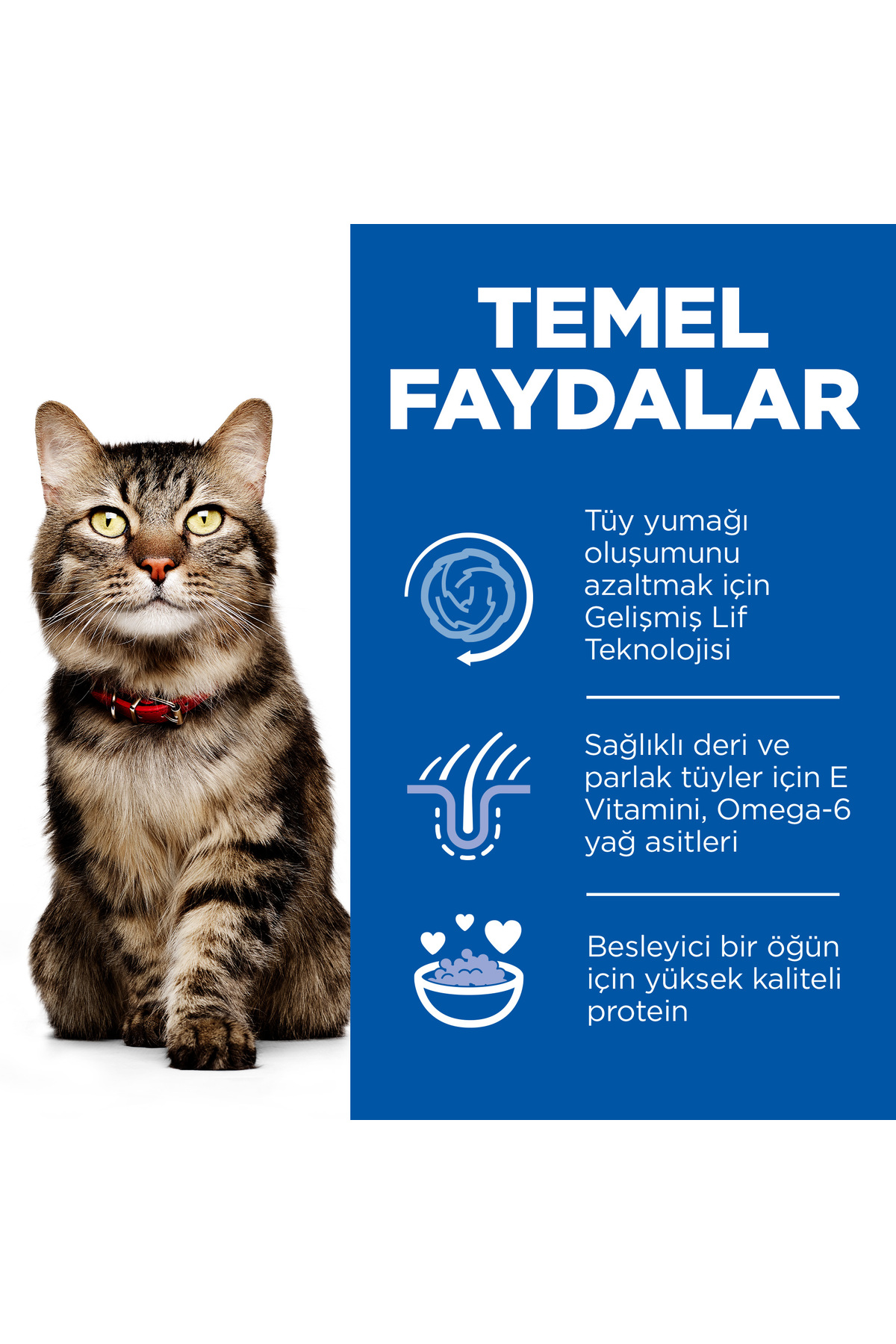 SCIENCE PLAN Tüy Yumağı Önleyici Mükemmel Tüyler için Tavuklu Yetişkin Kedi Maması 1,5 Kg SCIENCE PLAN Tüy Yumağı Önleyici Mükemmel Tüyler için Tavuklu Yetişkin Kedi Maması 1,5 Kg