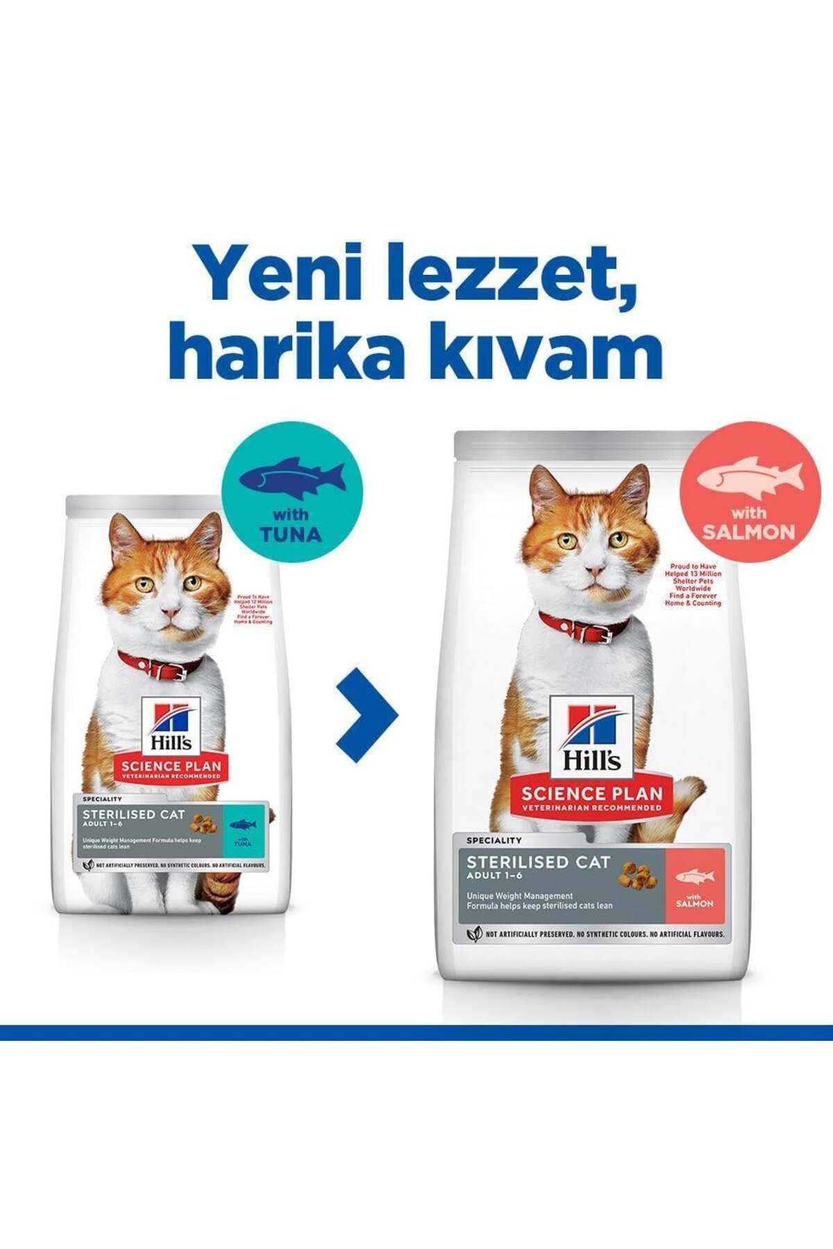 Scıence Plan Somonlu Kısırlaştırılmış Yetişkin Kedi Maması 3 Kg