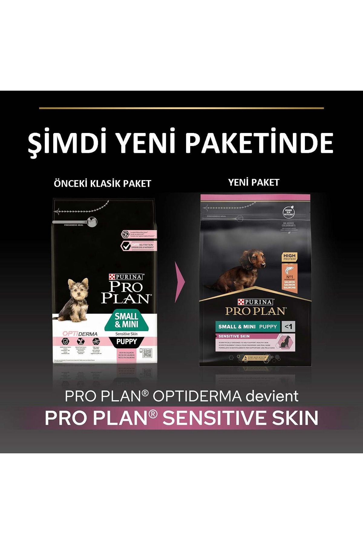 Small Mini Puppy Küçük Irklar için Somonlu Yavru Köpek Maması 3 kg