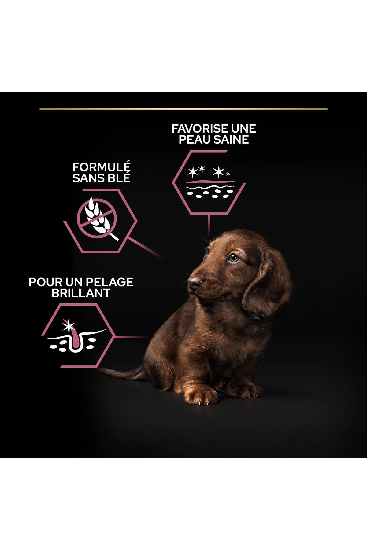 Small Mini Puppy Küçük Irklar için Somonlu Yavru Köpek Maması 3 kg