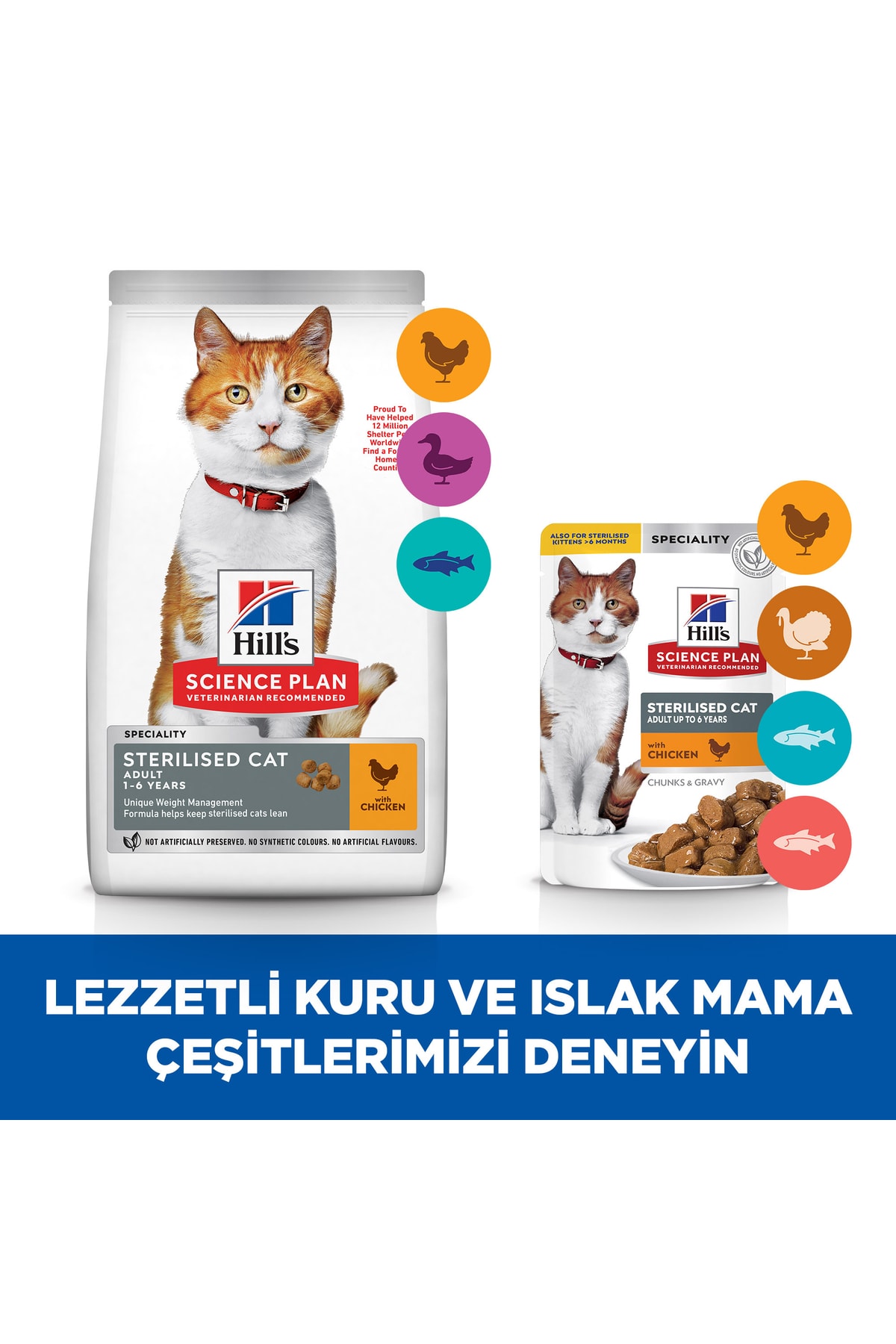 Hill's SP Tavuklu Kısırlaştırılmış Yetişkin Kedi Maması 8+2 KG Hill's SP Tavuklu Kısırlaştırılmış Yetişkin Kedi Maması 8+2 KG