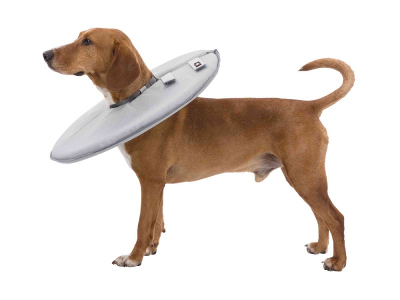 Trixie Kedi-Köpek Yakalığı XS 23-27cm 13cm Gri