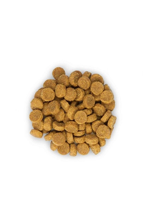 Hill's SP Tavuklu Yetişkin Kedi Maması 13+2 KG