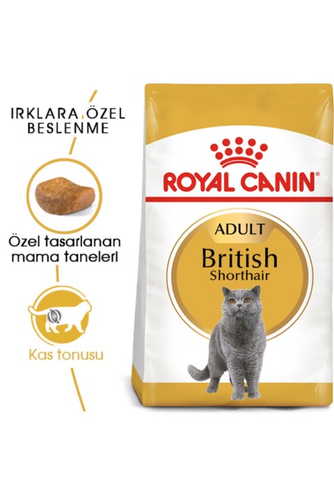 British Shorthair Adult Kedi Kuru Maması 2 Kg