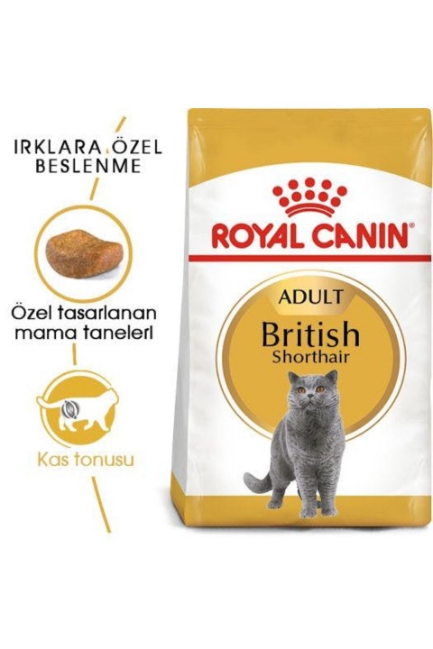British Shorthair Adult Yetişkin Kedi Maması 4 kg