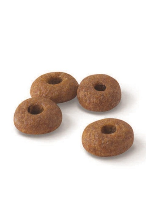 Fit 32 Yetişkin Kedi Maması 10 Kg