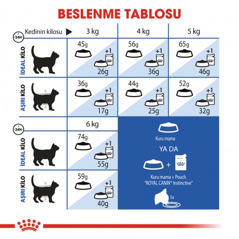 Royal Canin Indoor 27 Ev Kedileri İçin Yetişkin Kedi Maması 400 Gr