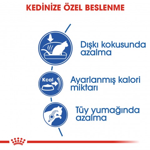 Royal Canin Indoor 27 Ev Kedileri İçin Yetişkin Kedi Maması 400 Gr