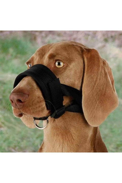 Trixie Köpek Ağızlığı Danua XXL