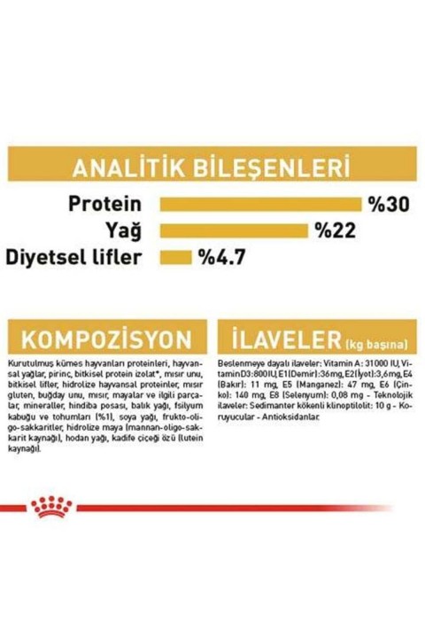 Persian Adult Kuru Kedi Maması 4 Kg