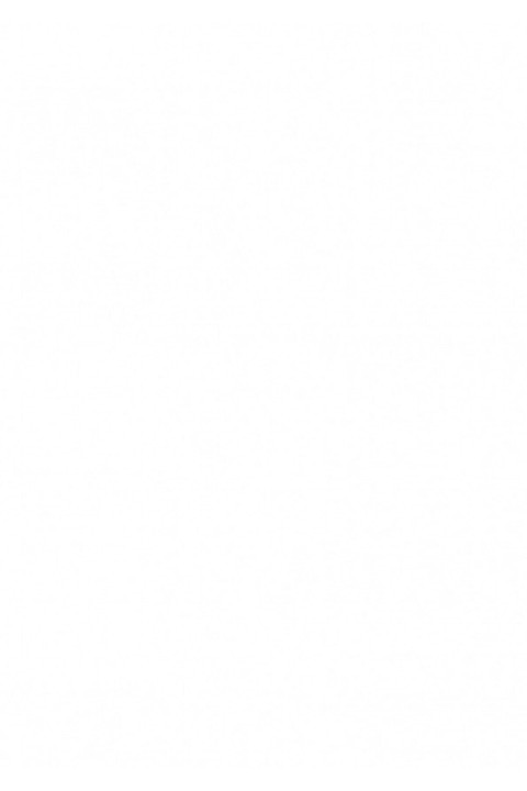 Tommy Renkli Kaydırmazlı Çelik Mama Kabı 17 Cm