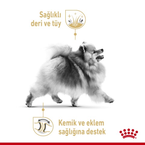 Royal Canin Pomeranian Adult Yetişkin Köpek Maması 3 Kg