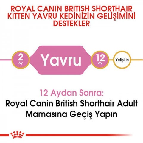 Royal Canin British Shorthair Kitten Yavru Kedi Maması 2 Kg