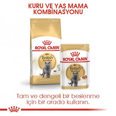 Royal Canin British Shorthair Adult Yetişkin Kedi Maması 10 Kg