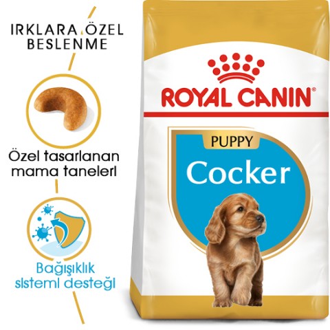 Royal Canin Cocker Junior Puppy Yavru Köpek Maması 3 Kg