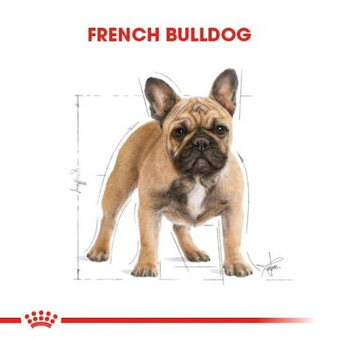 Royal Canin French Bulldog Adult Yetişkin Köpek Maması 3 Kg