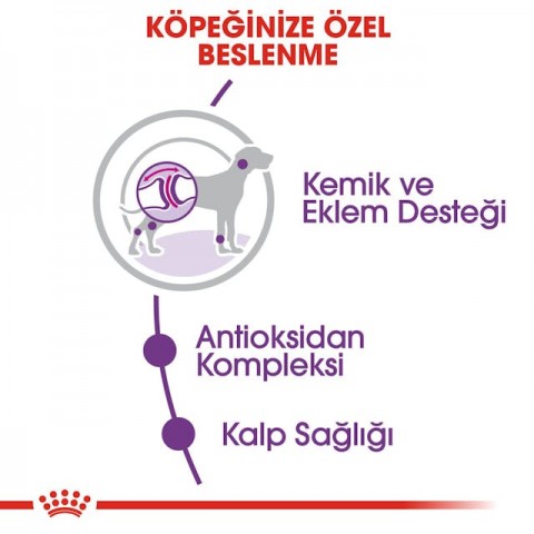 Royal Canin Giant Adult Dev Irk Yetişkin Köpek Maması 15 Kg