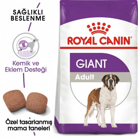 Royal Canin Giant Adult Dev Irk Yetişkin Köpek Maması 15 Kg