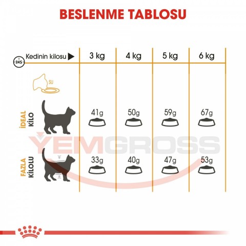 Royal Canin Hair & Skin Care Yetişkin Kedi Maması 4 Kg - Tüy ve Deri Sağlığı İçin Özel Formül