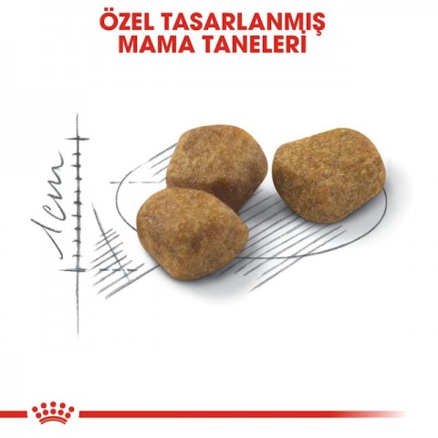 Royal Canin Indoor 7+ Ev Kedileri İçin Yaşlı Kedi Maması 3,5 Kg