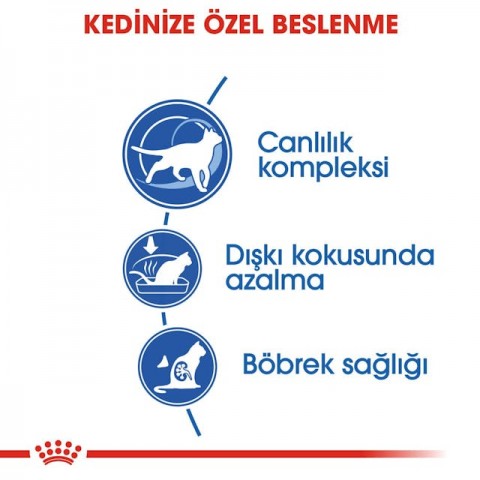 Royal Canin Indoor 7+ Ev Kedileri İçin Yaşlı Kedi Maması 3,5 Kg