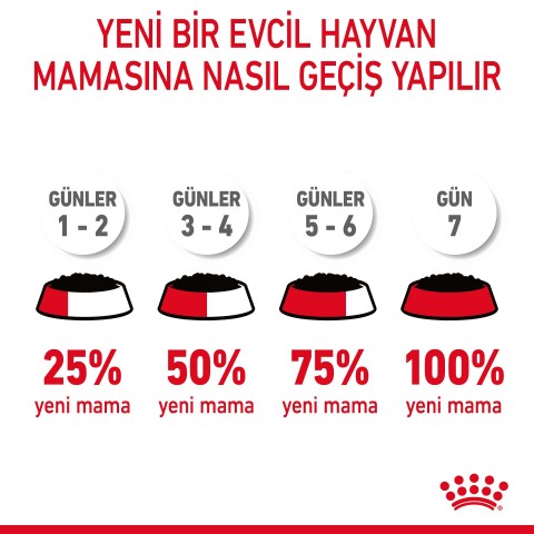 Royal Canin Hair Skin Jelly Hassas Tüylü Yetişkin Kedi Konserve Yaş Maması Pouch 85 Gr