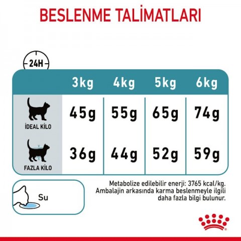 Royal Canin Hairball Care Tüy Yumağı Önleyici Kedi Maması 2 Kg