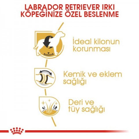 Royal Canin Labrador Retriever Adult Yetişkin Köpek Maması 12 Kg
