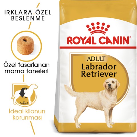 Royal Canin Labrador Retriever Adult Yetişkin Köpek Maması 12 Kg